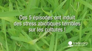 Solutions pour les stress abiotiques FR [upl. by Wendy219]