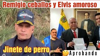 remigio ceballos se trae una jugada con Elvis amoroso y el CNE [upl. by Ahseinat]