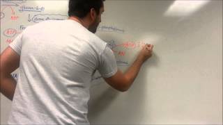 Easy Glycolysis Pathway [upl. by Eitsyrc403]