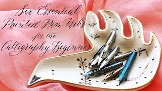 Six Essential Pointed Pen Nibs for the Calligraphy Beginner [upl. by Abbate470]