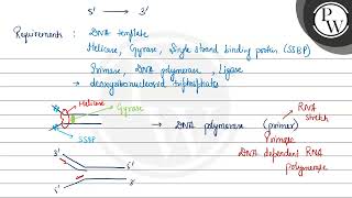 Name the scientists who proved that DNA replication is semiconservative Explain the process of [upl. by Eleets184]