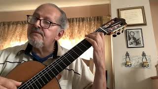 Girl with the Flaxen Hair by Claude Debussy arranged by Angel Romero played by Cris Alcamo [upl. by Alleber]