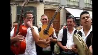 La Entrada De Verdiales A Feria De Málaga 2014 mp4 [upl. by Ignatz]