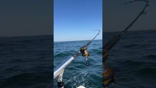 Striped bass fishing off New Jersey shore bassfishing [upl. by Asirac746]