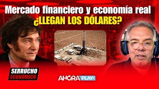 Mercado financiero y economía real ¿LLEGAN LOS DÓLARES  Claudio Zlotnik serruchoeconómico [upl. by Parthena]