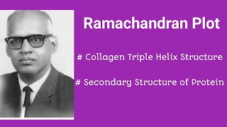 RAMACHANDRAN PLOT COLLAGEN HELIX collagen protein [upl. by Alene]