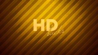 Gold Stripes  HD Background Loop [upl. by Mukul]