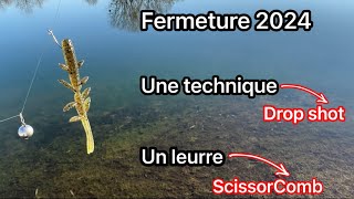 Session DROP SHOT pour la fermeture du carnassier 2024 [upl. by Divad889]