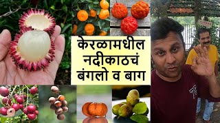 केरळामधील नदीकाठचं Farm House अशी बाग तुम्हाला बनवायला आवडेल का Exotic Fruits nursery Kerala [upl. by Ateekal991]