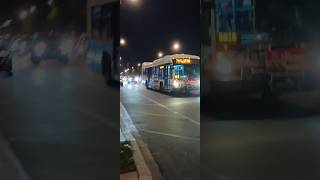 74 Fullerton CTA bus at Central 10212024 [upl. by Naes]