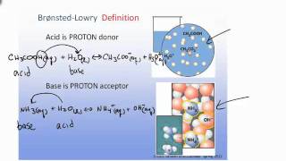 Bronsted Lowry Acid Base Definition [upl. by Yvehc896]