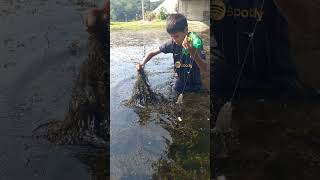 Amazing hook fishing trap Best hook fishing Fishing by hook shorts shortsvideo fish [upl. by Anod]