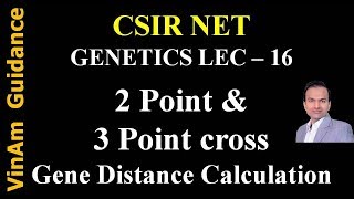 VG  Genetics  Lec 16  Two Point amp Three Point Cross [upl. by Auqinahc]