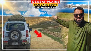 DEOSAI NATIONAL PARK Astore To Skardu Via Deosai  Road condition of Deosai in 2024 [upl. by Enayr]