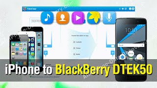 How to Copy All Data from iPhone to BlackBerry DTEK50 With Ease [upl. by Enitnemelc297]