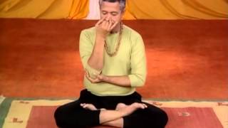 Pranayama Yoga For Back Pain In English [upl. by Johnathon]