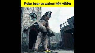 Polar bear vs walrus कौन जीतेगा  animals fight shorts animals wildlife [upl. by Quartis]