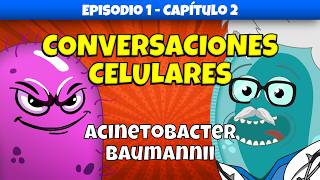 Acinetobacter baumannii Un Enemigo Astuto  Conversaciones Celulares  Ep 1 Cap 2 medicina [upl. by Kacerek]