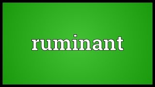 Ruminant Meaning [upl. by Essilec]