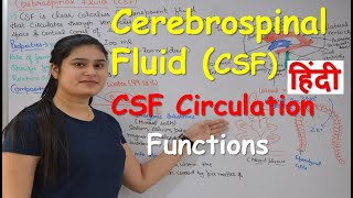 Cerebrospinal fluid in Hindi CSF  Functions  Production  CSF Circulation  Choroid Plexus [upl. by Enyawud]