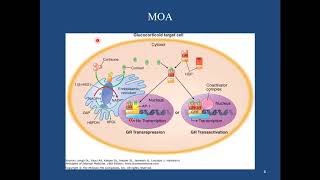 Pharmacology of Corticosteroids [upl. by Albright]