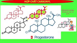 ALDEHYDE  KETONE  DANH PHÁP CÁC HỢP CHẤT TRONG SÁCH GIÁO KHOA CTSTKNTTCÁNH DIỀU  HÓA 11 MỚI [upl. by Atinauq]