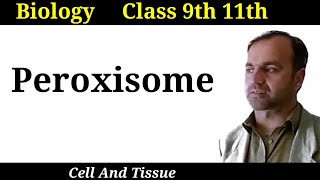 Peroxisome  Structure and functions of Peroxisome  Cell organelles  Class 9 and 11 [upl. by Ailecara]