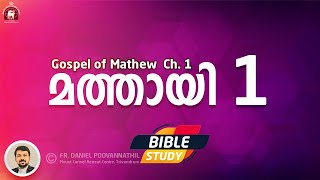 Gospel of Mathew Ch 1 Bible Study Fr Daniel Poovannathil [upl. by Paynter]