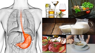 5 Amazing Foods You Can Eat When You Have Gastroparesis [upl. by Akinuahs]