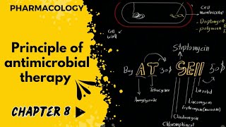 فارما  جابتر 8  شرح مهم متطور لفهم المضادات الحيوية  principle of antimicrobial therapy [upl. by Marbut475]