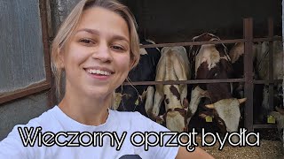 ★Wieczorny oprząt krów i byków★Codzienne obowiązki na Kaszubach★ [upl. by Emiolhs]