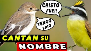 10 AVES QUE CANTAN SU PROPIO NOMBRE ¡No Podras Creerlo 🤯 [upl. by Jenesia]