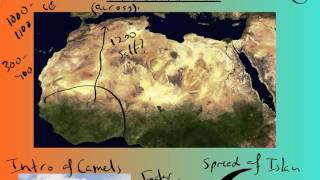 West Africa Trans Saharan Trade [upl. by Bainter234]