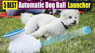 Best Automatic Dog Ball Launcher Of 2023 [upl. by Peh]