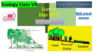 Ecotone and Edge effect in Hindi Ecology Class 7 BSc 3rd year CSIR NET SETRPSC College Lecturer [upl. by Colby]