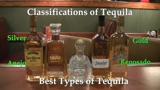 Classifications of Tequila Best Types of Tequila Difference Between Tequilas [upl. by Marlo]