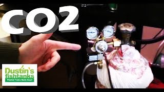 CO2 HOW TO Run CO2 In a Planted Tank [upl. by Rosenfeld]