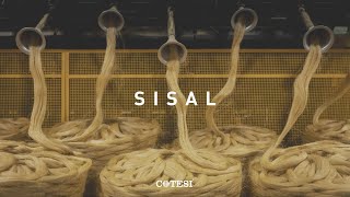 SISAL The Sustainable Twine [upl. by Thaddeus]