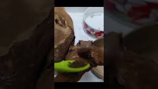 Lizard and tropical fish food  crested gecko [upl. by Murray]