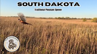 South Dakota Traditional Pheasant Opener 2024 PUBLIC LAND [upl. by Parsifal]