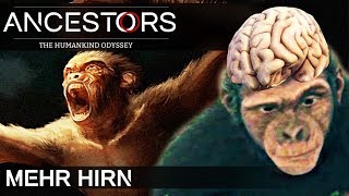 ANCESTORS MEHR GEHIRN Ancestors The Humankind Odyssey Deutsch German Gameplay 30 [upl. by Grosvenor]