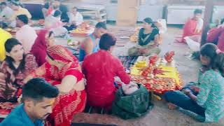 Kaal sarp dosh Mangal dosh nivaran Pooja ujjain pandit Ashu Sharma ujjain 8871538029kaalsarp [upl. by Yrrok]