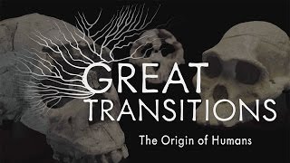 Great Transitions The Origin of Humans — HHMI BioInteractive Video [upl. by Yenduhc]