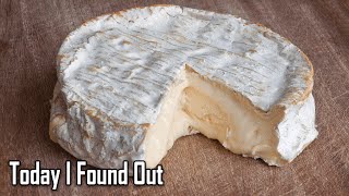 How Italian Gorgonzola Cheese Is Made  Regional Eats  Food Insider [upl. by Puritan]