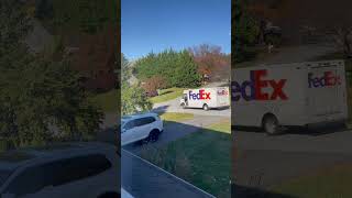 FedEx driver backs up to give Loki a dog treat [upl. by Isolda]