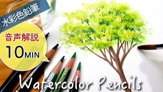 樹木の描き方【簡単・リアル】水彩色鉛筆 How to paint a Tree with Watercolor pencils [upl. by Dao185]