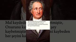 Goethe İnsan nasıl her şeyini kaybederfelsefe [upl. by Nora217]