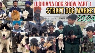 Pakhowal Ludhiana dog show part 1 street Dog markets [upl. by Yelrebmik]