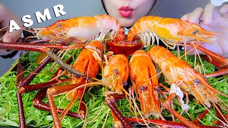 ASMR TÔM CÀNG XANH KHỦNG  HUGE PRAWNS  EATING SOUNDS  LINH ASMR [upl. by Sonnie689]