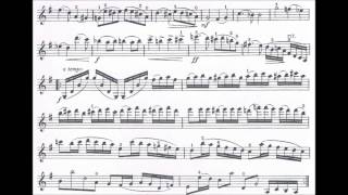 Rieding Oskar Concertino op 24 for violin  piano [upl. by Llenaej561]